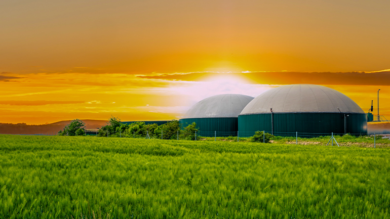 Biomass building image